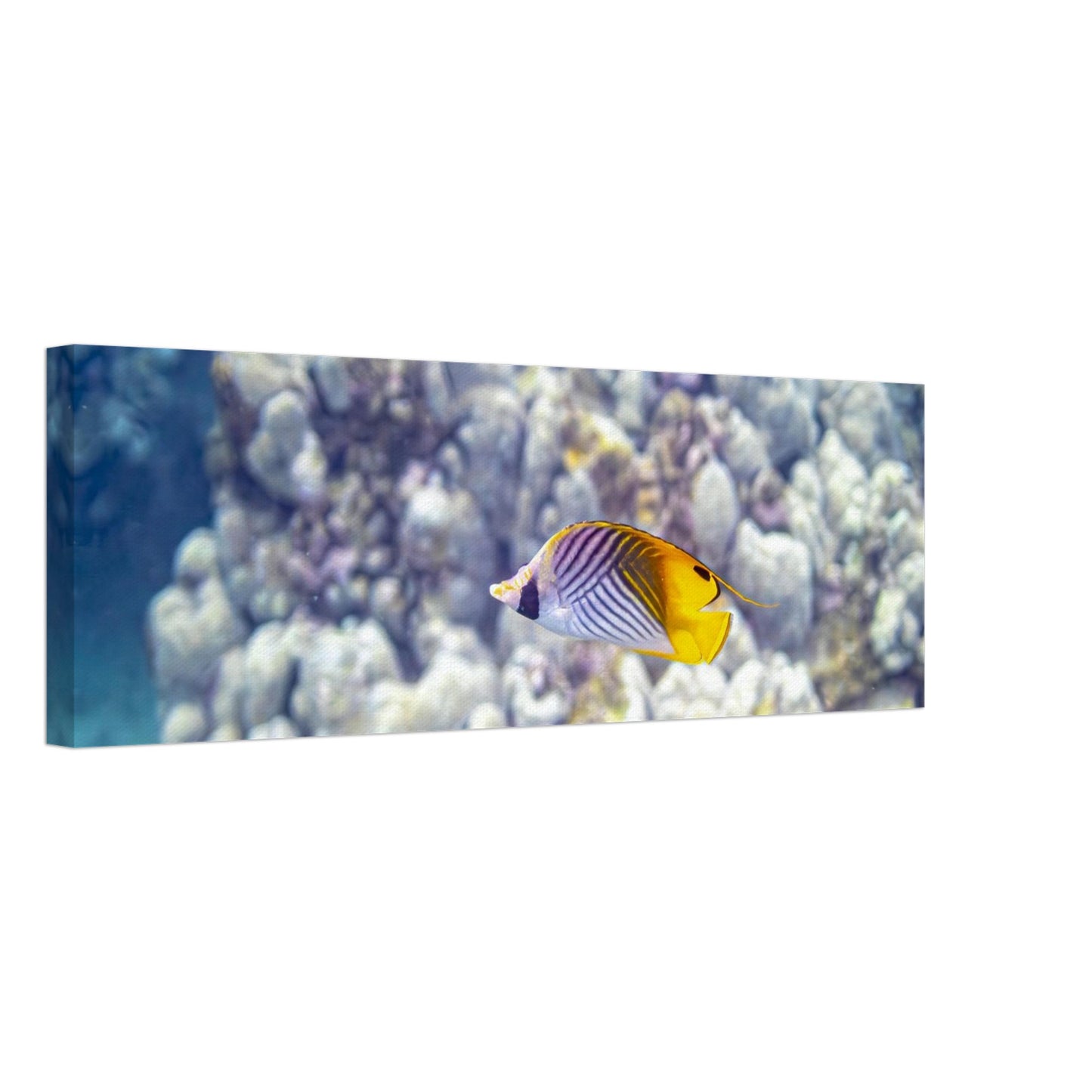 4946d9d2-3a7d-48bf-9c7f-90c85142a3ee