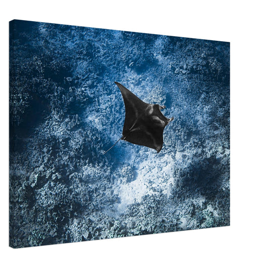 4abf575e-3c3c-44c4-a0ba-2d3c9f07d06f