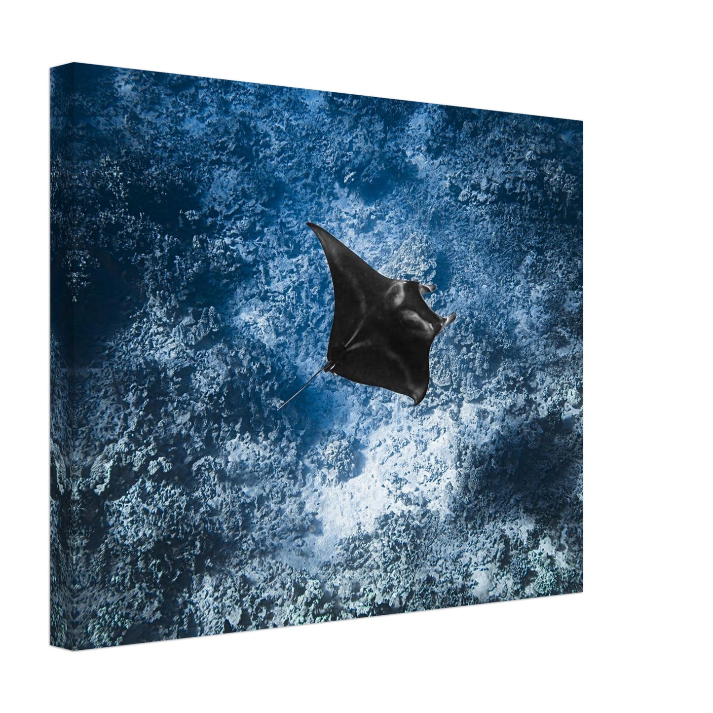 4eb1bd14-19b5-40bf-9cfe-eba961810840