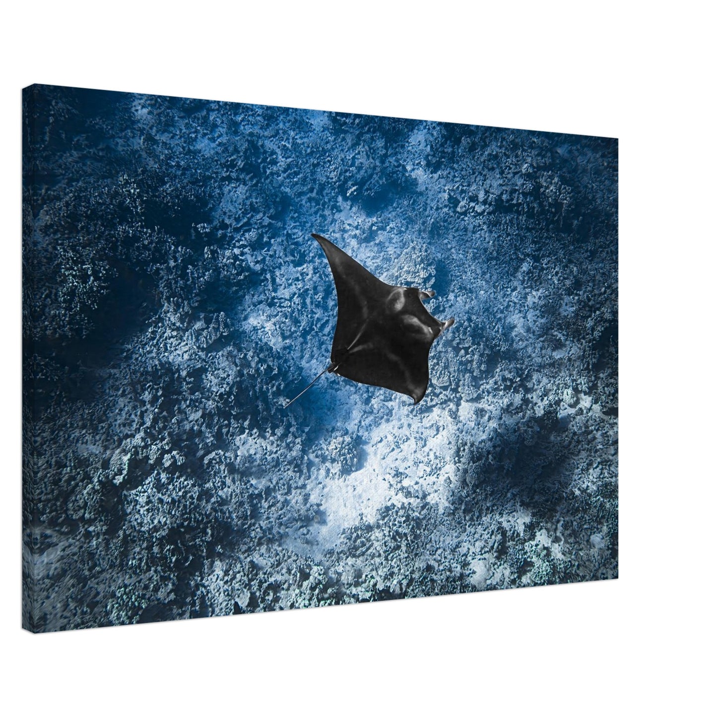 57f841af-ad72-4f6b-9dd4-7515f8e56e4b