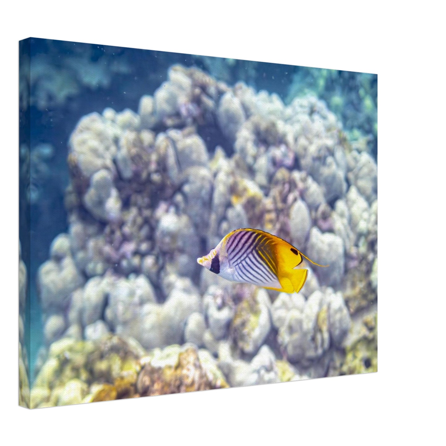 58f18c78-1369-43bd-b77b-07b3634c6741