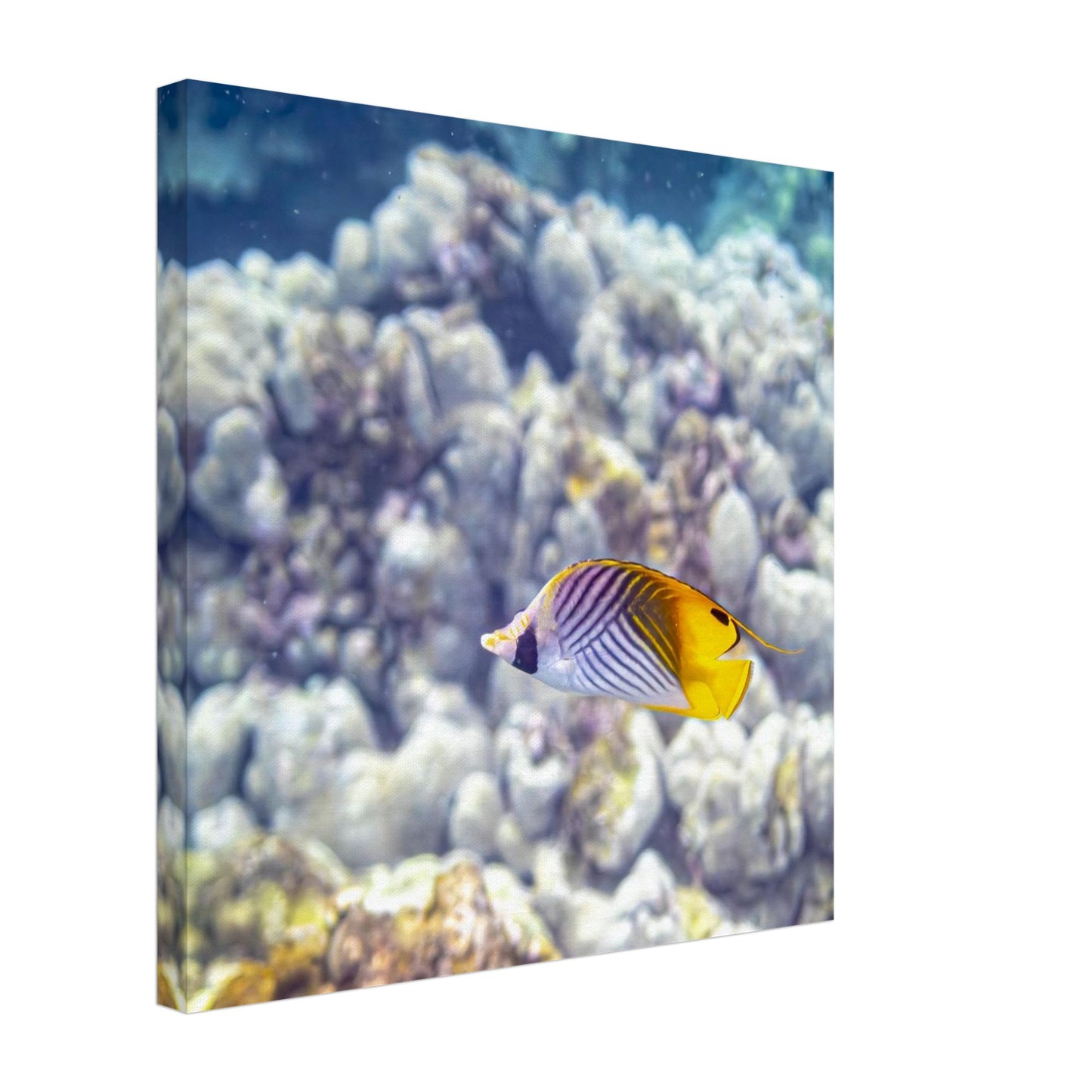 59053f2a-a207-4965-b4b2-a79da4e5d341