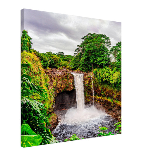 5afc39ad-8349-4291-a647-8007ad535a29