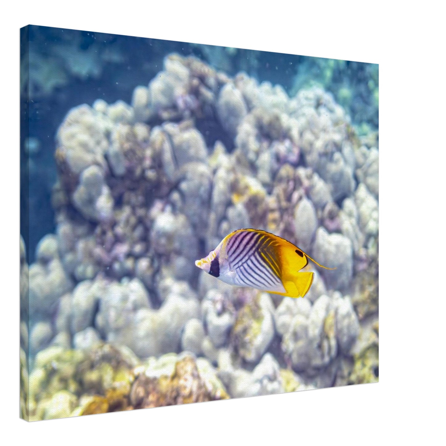 5b397cf1-8733-40cd-826d-7b011e316f7c