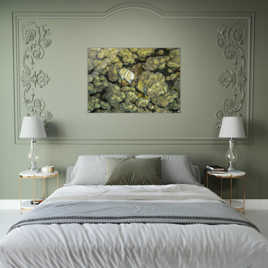 5d65cd81-eee4-4cc8-accb-51fb465a6bd6