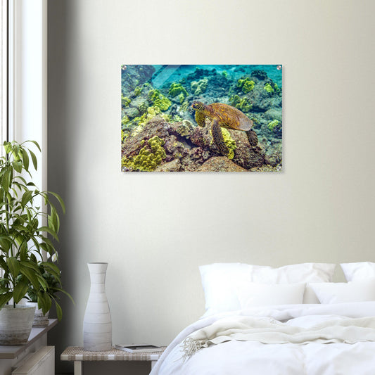 5e5cf05d-f0d0-4ec4-a002-921e179ba5f5