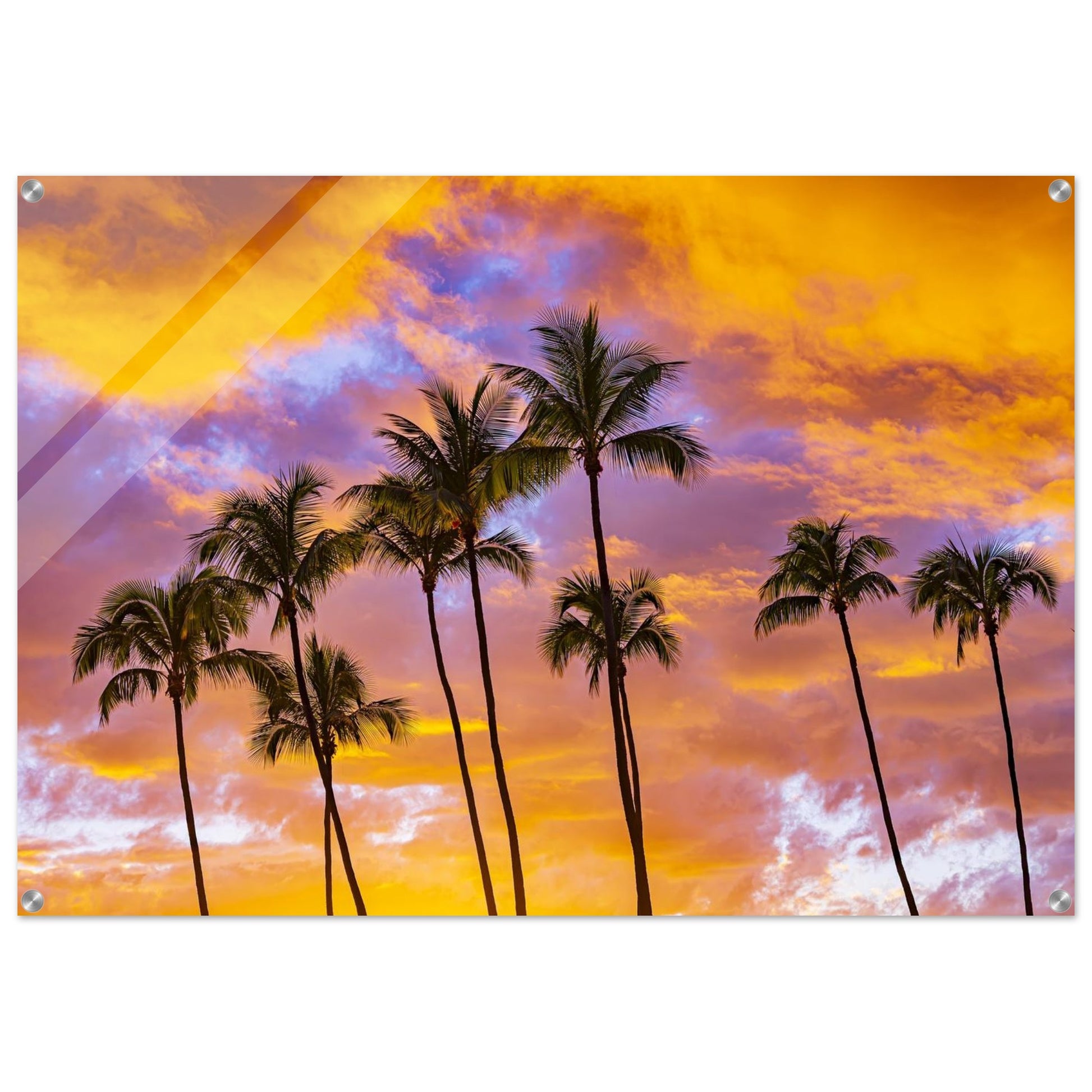 60ae5bdb-4eee-498e-89f7-98ba6e1ed66a