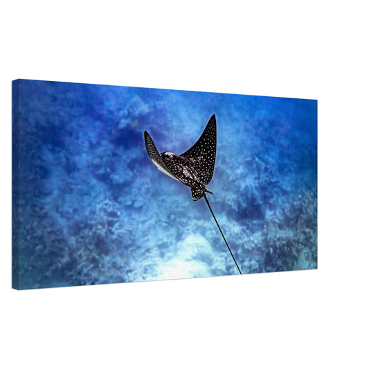 626beaab-02e3-4110-ae58-70bb54e870b0