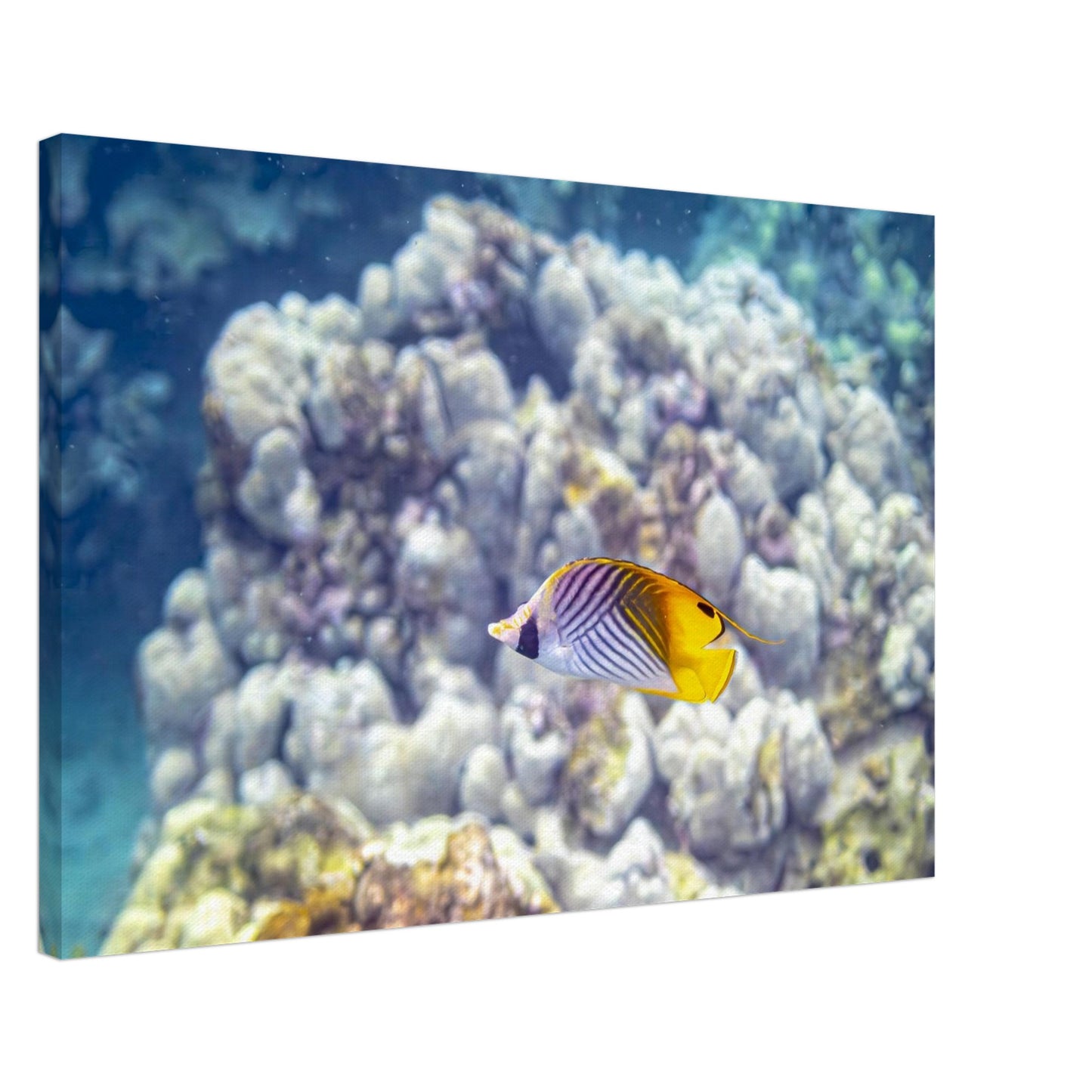 630ea439-31dd-41e1-914f-0dcc297dd268