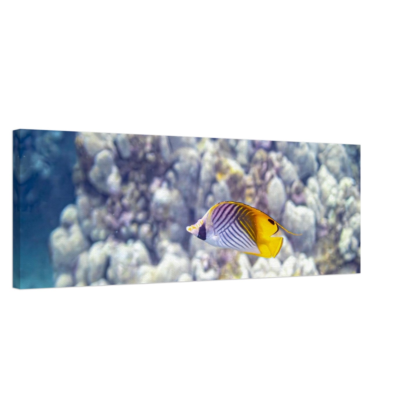 6357dd28-cd53-490c-bcde-a60a742ace4d