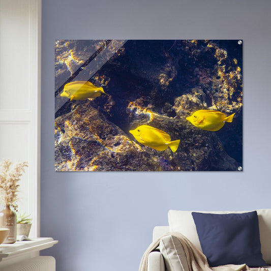 65adf2d1-b2e6-433b-904c-9dae55dbf8ee