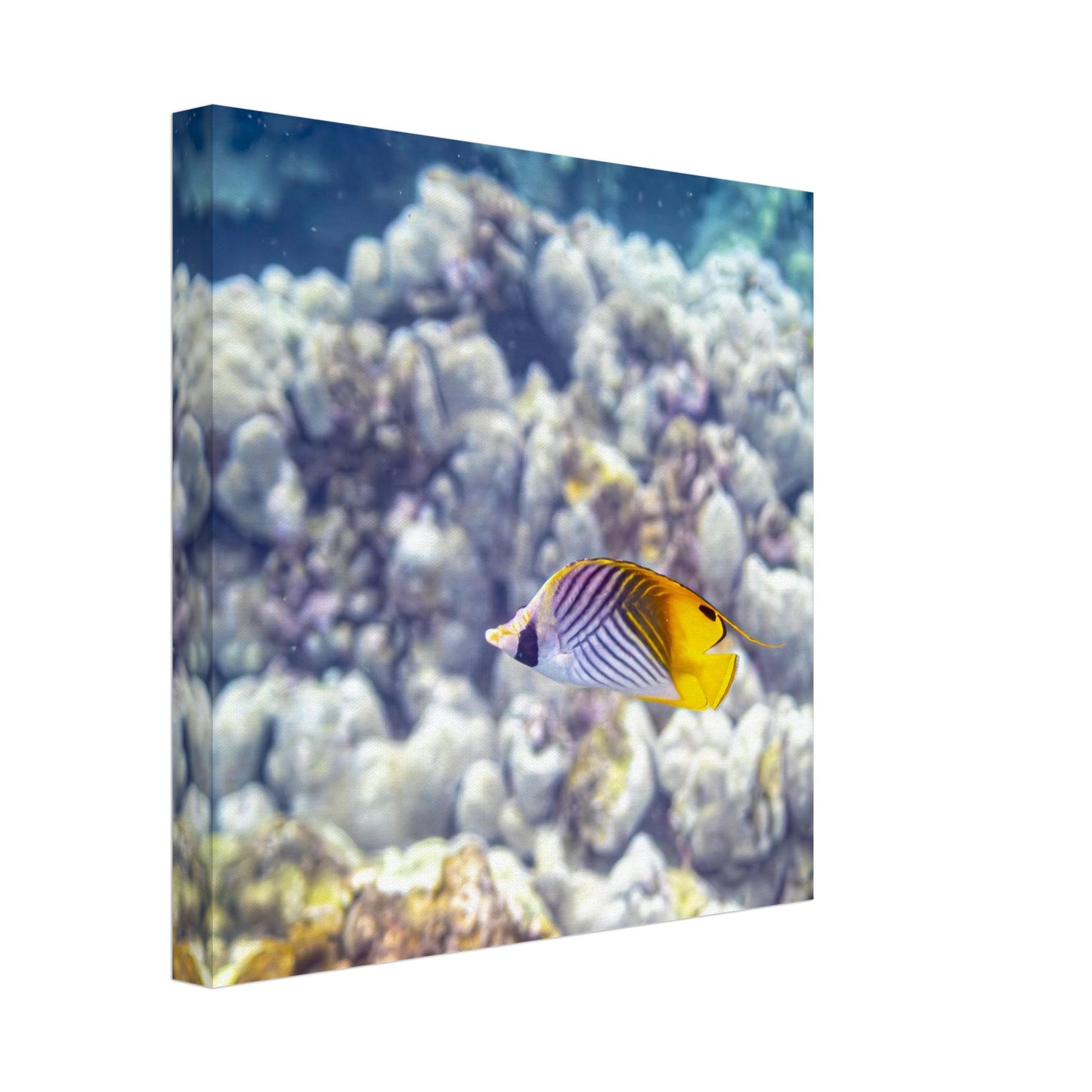 662d0775-468b-43e4-8d6f-9ab74577f495