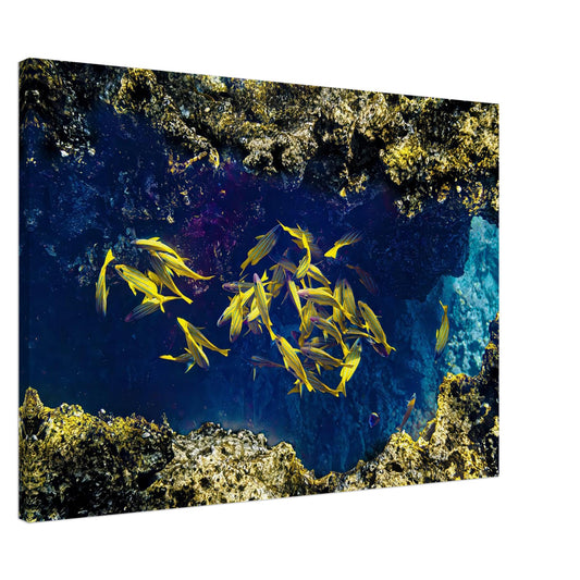 6662c066-859b-4481-ac35-3e5a5dde6cef