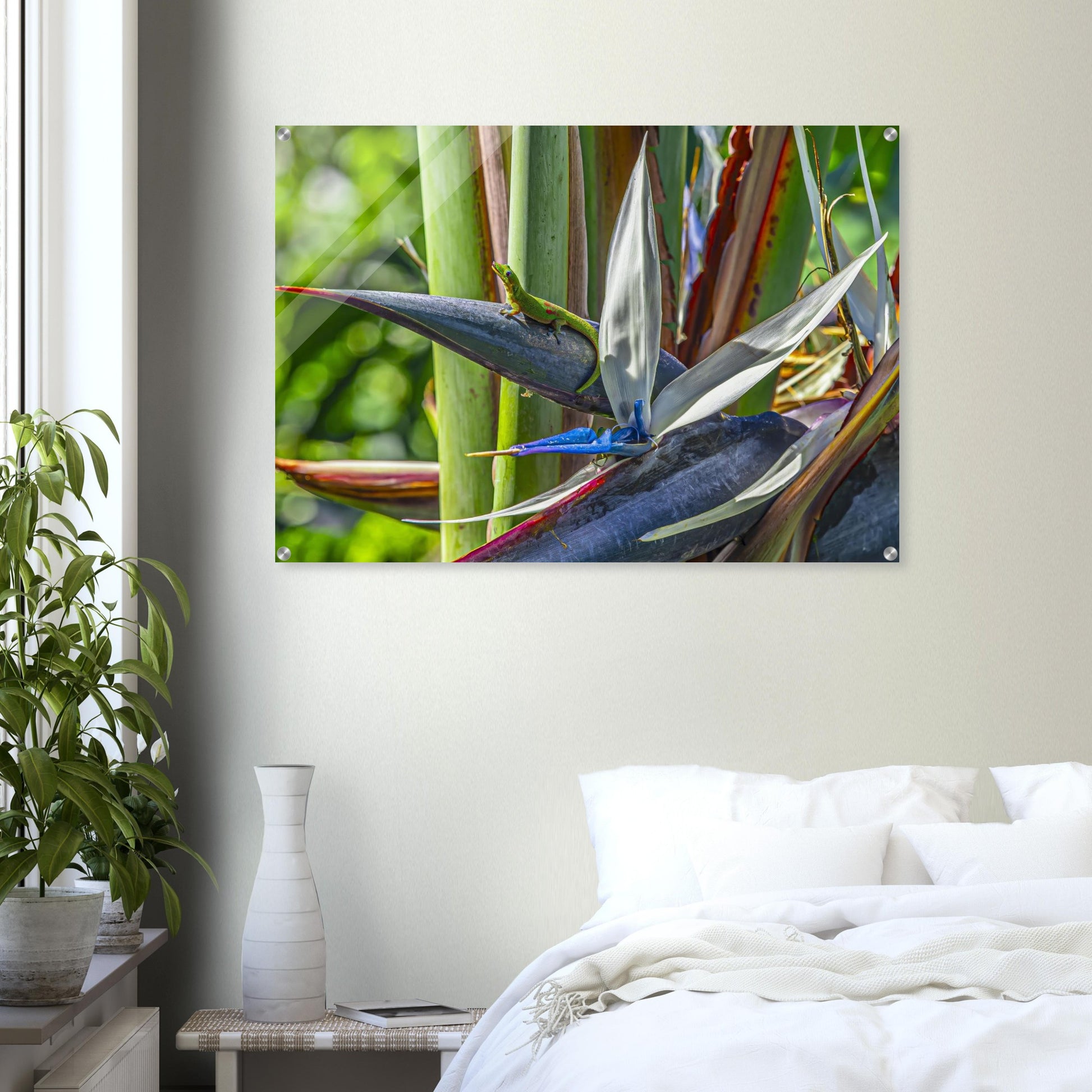 66e73b0d-5b8f-46d4-9317-fdc50b531c75