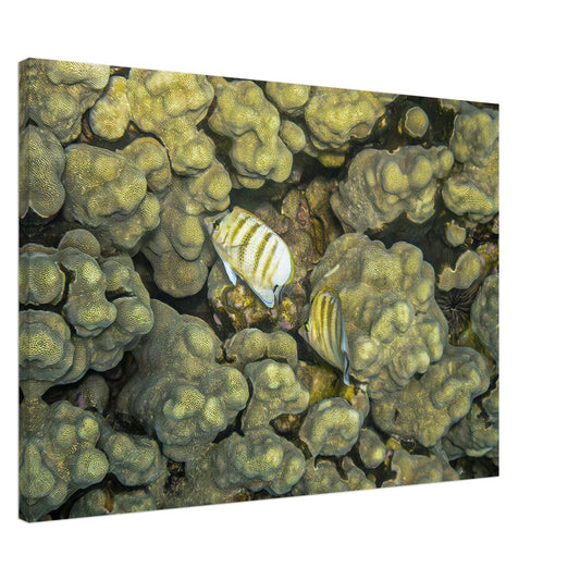 68e27e1a-6724-48ae-9dba-614ccbea9caf