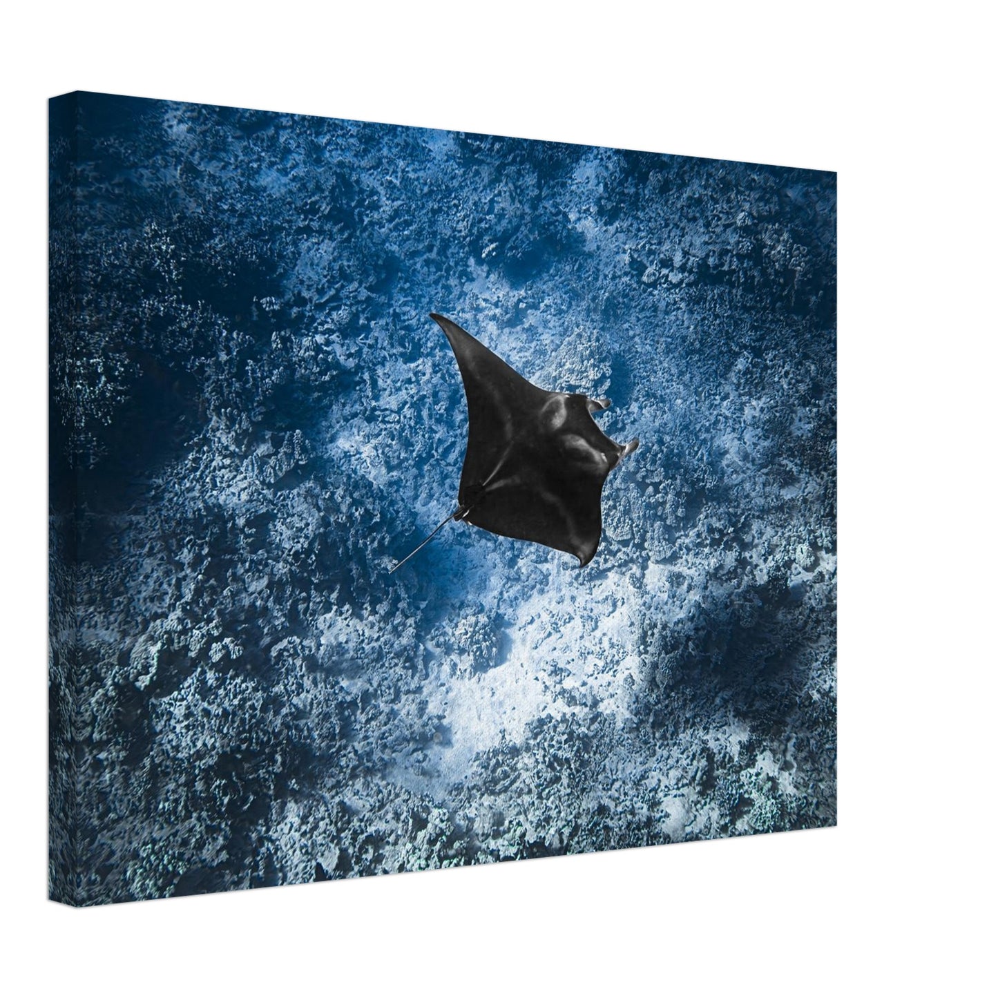 690c6e04-d92c-4ac3-8099-4babfeb815e3