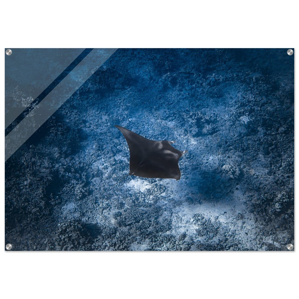 699a2231-02a8-4b57-86f5-f4e801b5b680