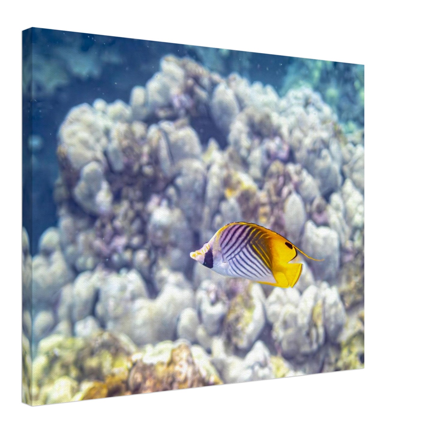 6b8dc1b2-8b8a-4f84-8fe2-42a8443dbb54