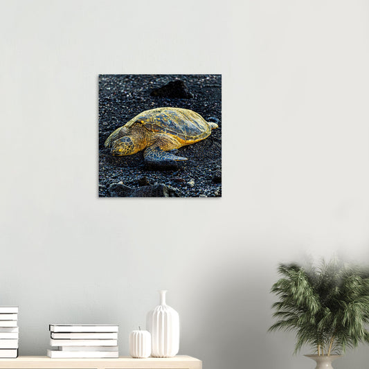 6b99a78f-d804-4849-9f87-643b76442e9b