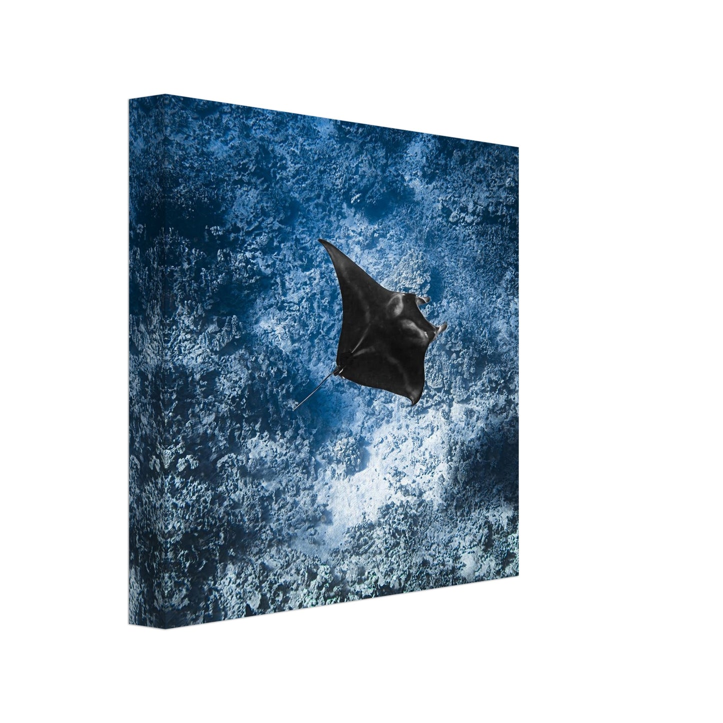 6cb6d189-d8d8-4219-9674-96f9c8baca72