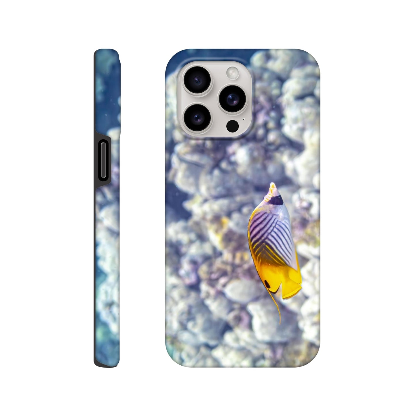 6e540214-b1f8-49f3-b12f-18af36d1e0b4