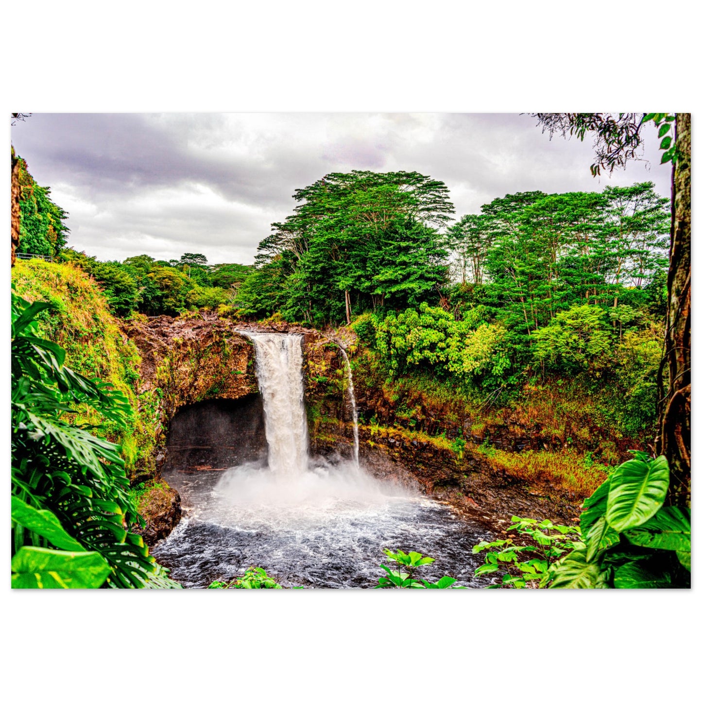 6ec248e9-1bed-4480-a72c-71d8df297294