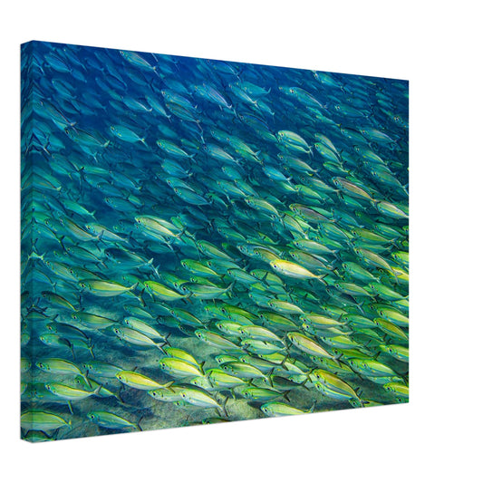 6edddbd3-0082-4065-a33e-565683ec0934