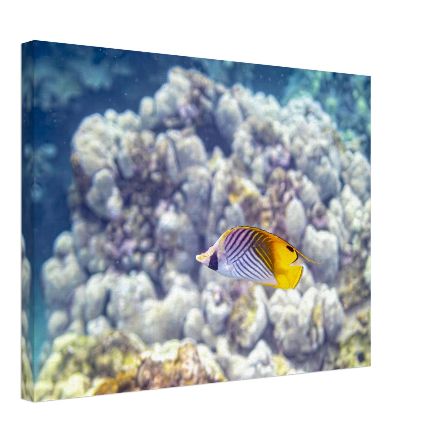 70801123-23da-4a5b-b04c-6ad5f7088843