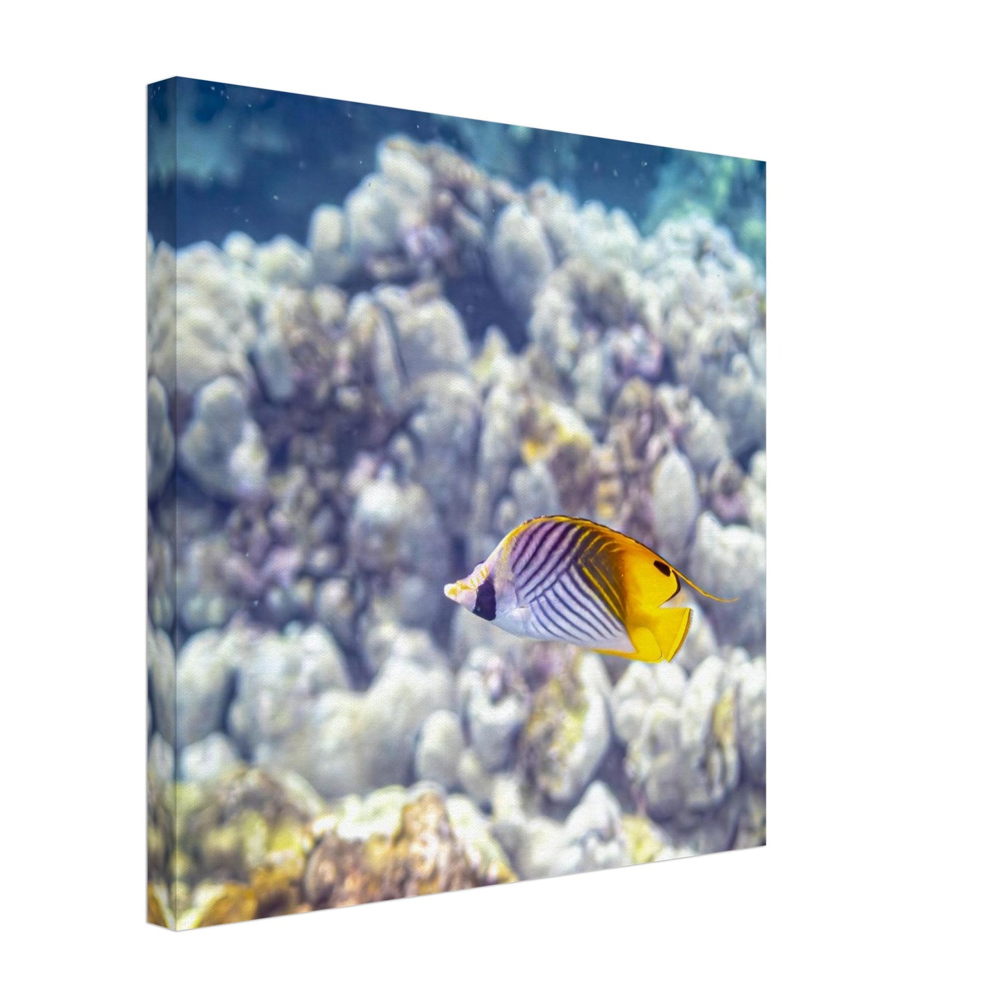 713b9406-23c4-4013-96b6-66940e870843