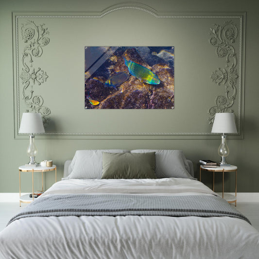 7208afc5-a5a5-4fe0-a2c2-f06b85b82d5c