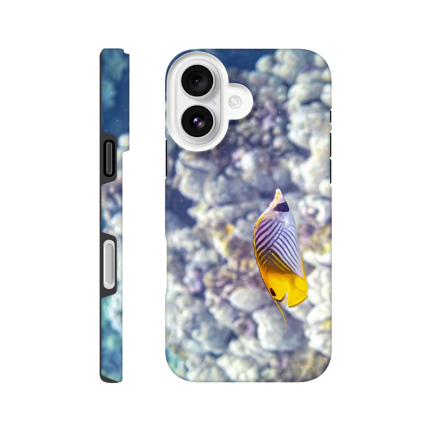 7250b9a1-4fef-4c44-b526-1b2cf175f2ce