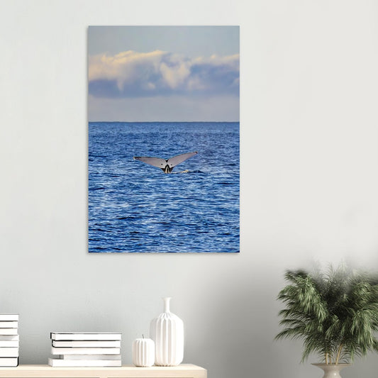 74891d48-362c-4b44-92c8-2be02ee723ee