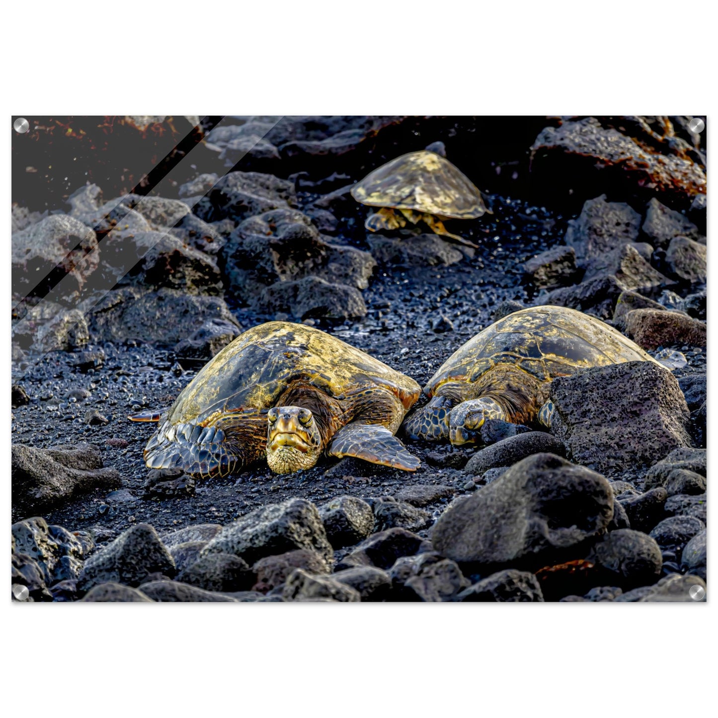 787e75a9-33d5-4ee2-8592-d37209979e8d