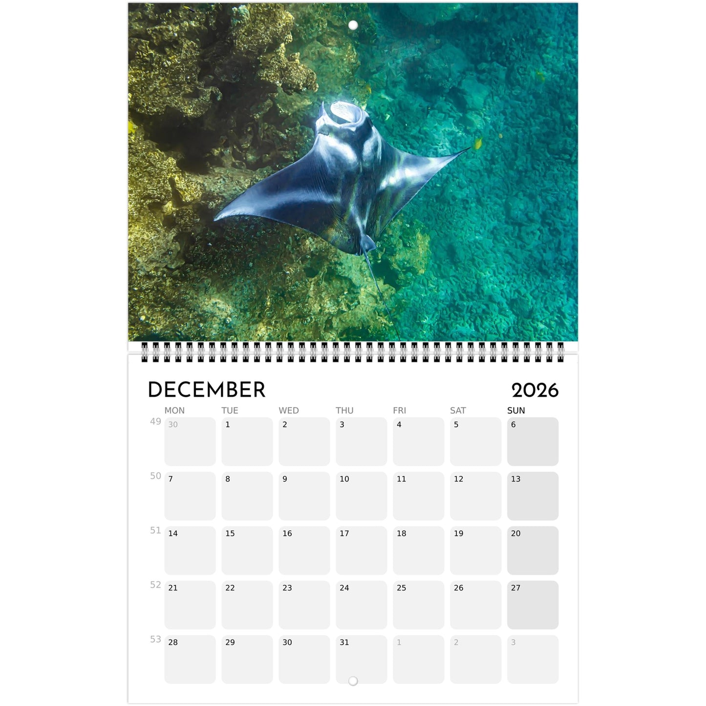 7ed34dc0-521a-44f6-880e-2e21e68806e4