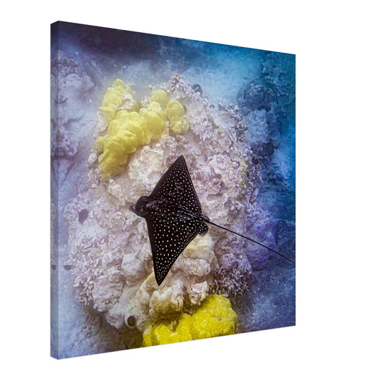 7ee29b1c-ebaf-4921-b5b7-c7dfd42713fd