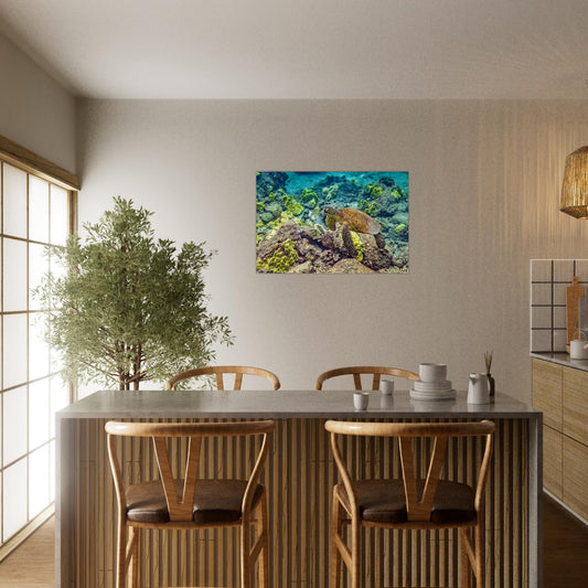 815dc8f2-dda8-4317-8a21-4eabfa29f3c5