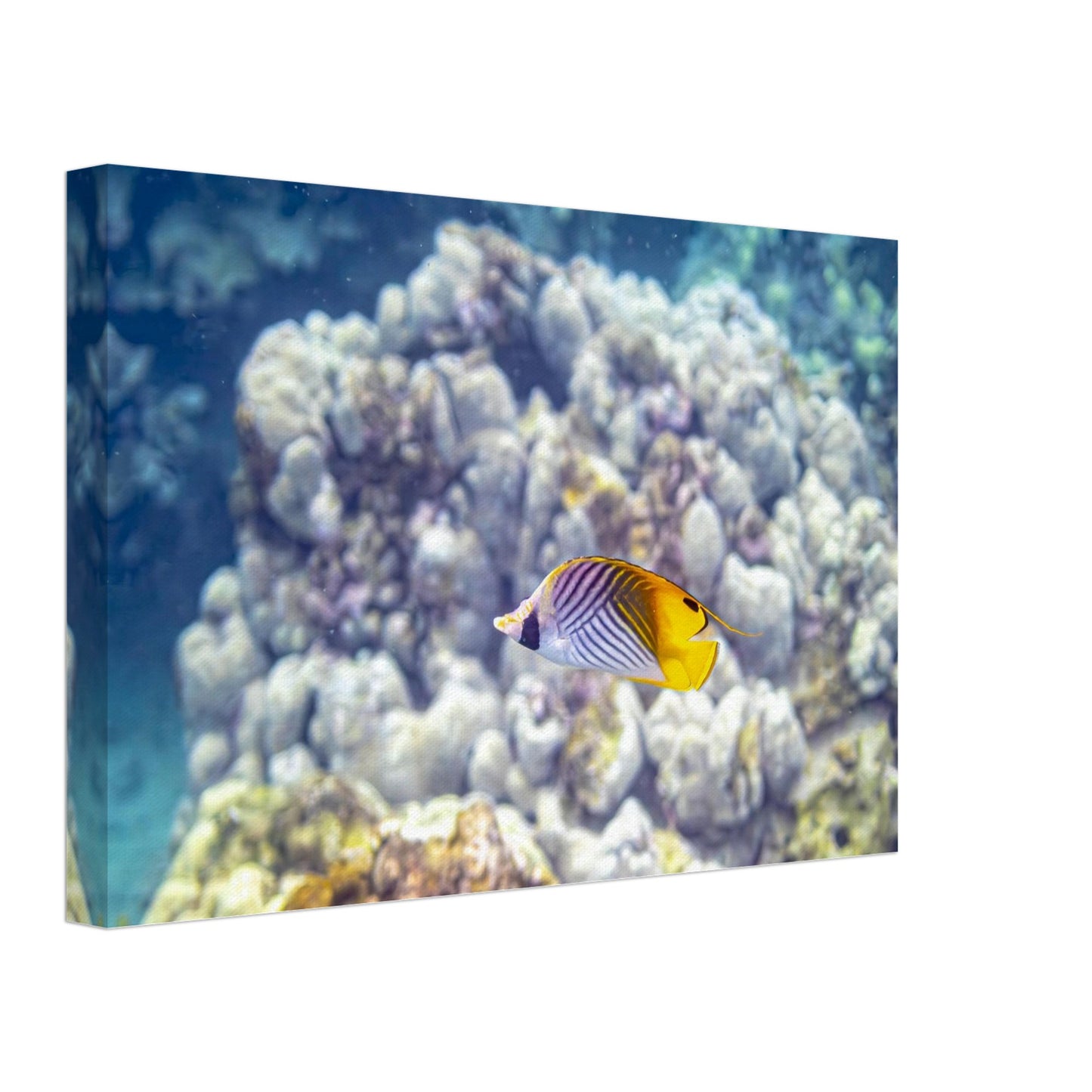 815f1451-a189-4fab-a45a-0c2f7cbb6483