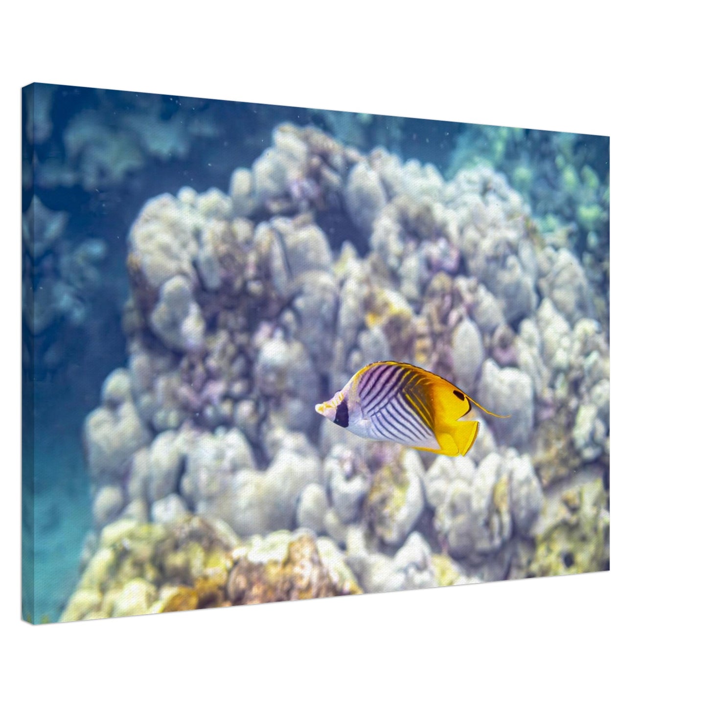 82232163-4f55-4cf2-b46f-5393b22c12c7