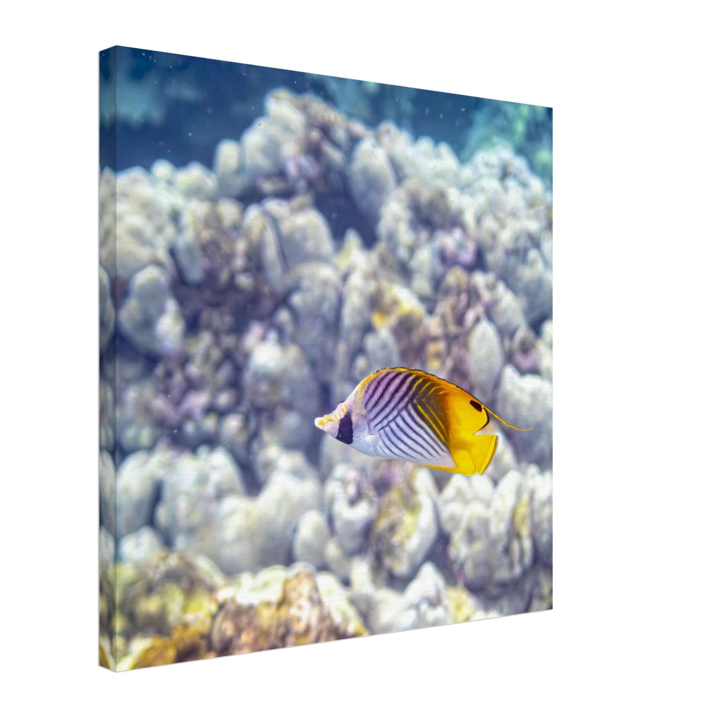 82296bfe-d330-401d-8b6d-3ddb38dbbff3