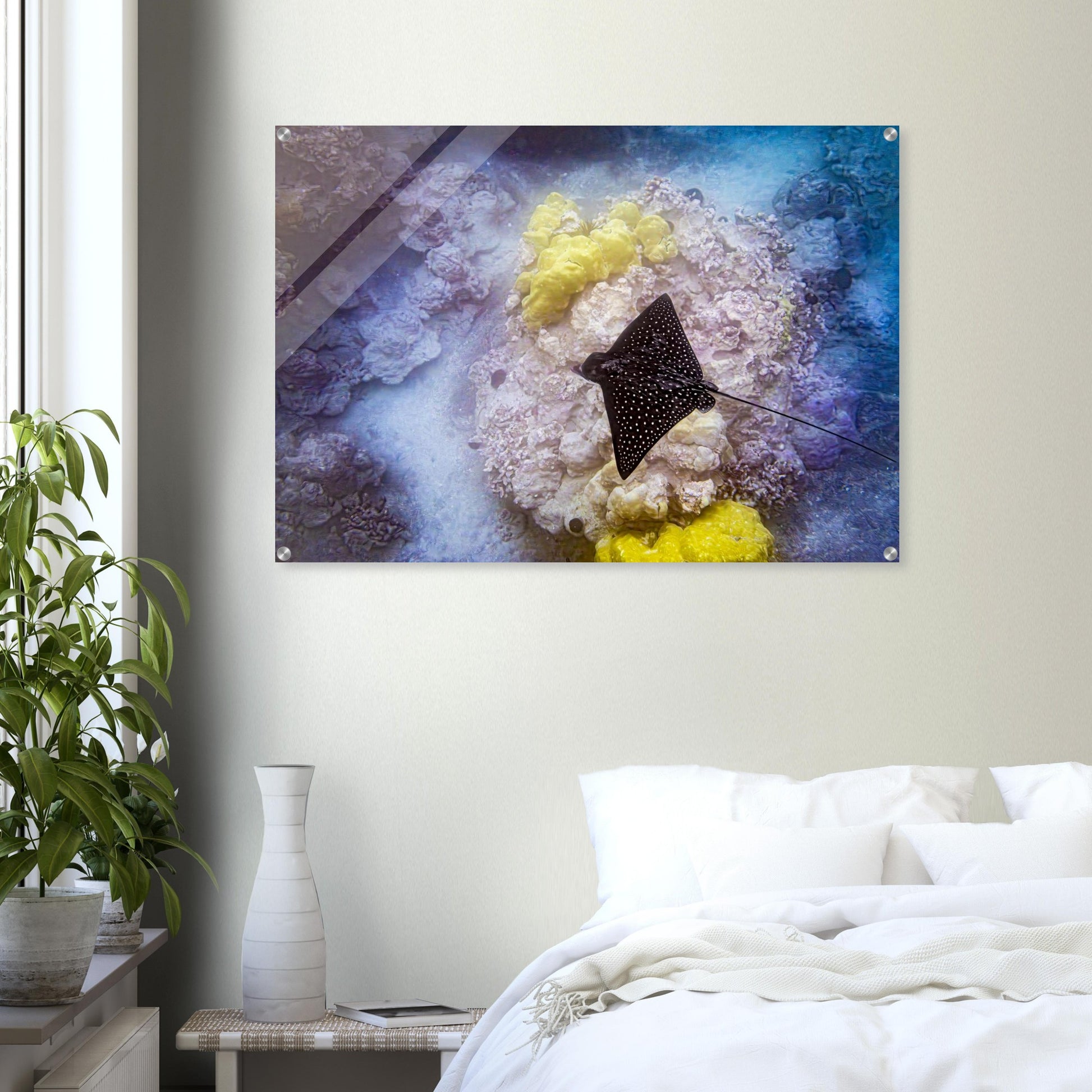 82e5cd20-c37c-444a-bd06-744833efd3dd