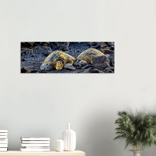 86026542-3227-4f3f-a1d7-c14510145752