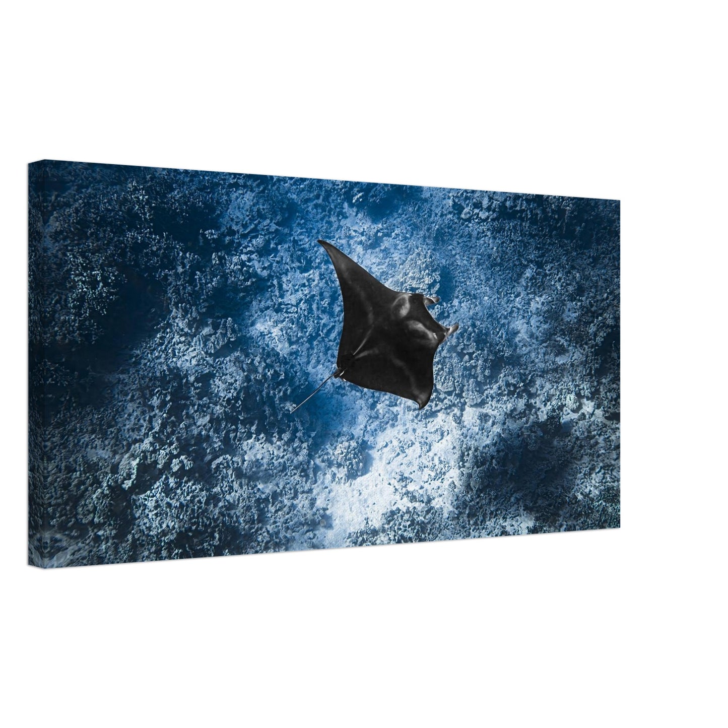 874c7f16-ec4b-4c50-91a4-241c82643413