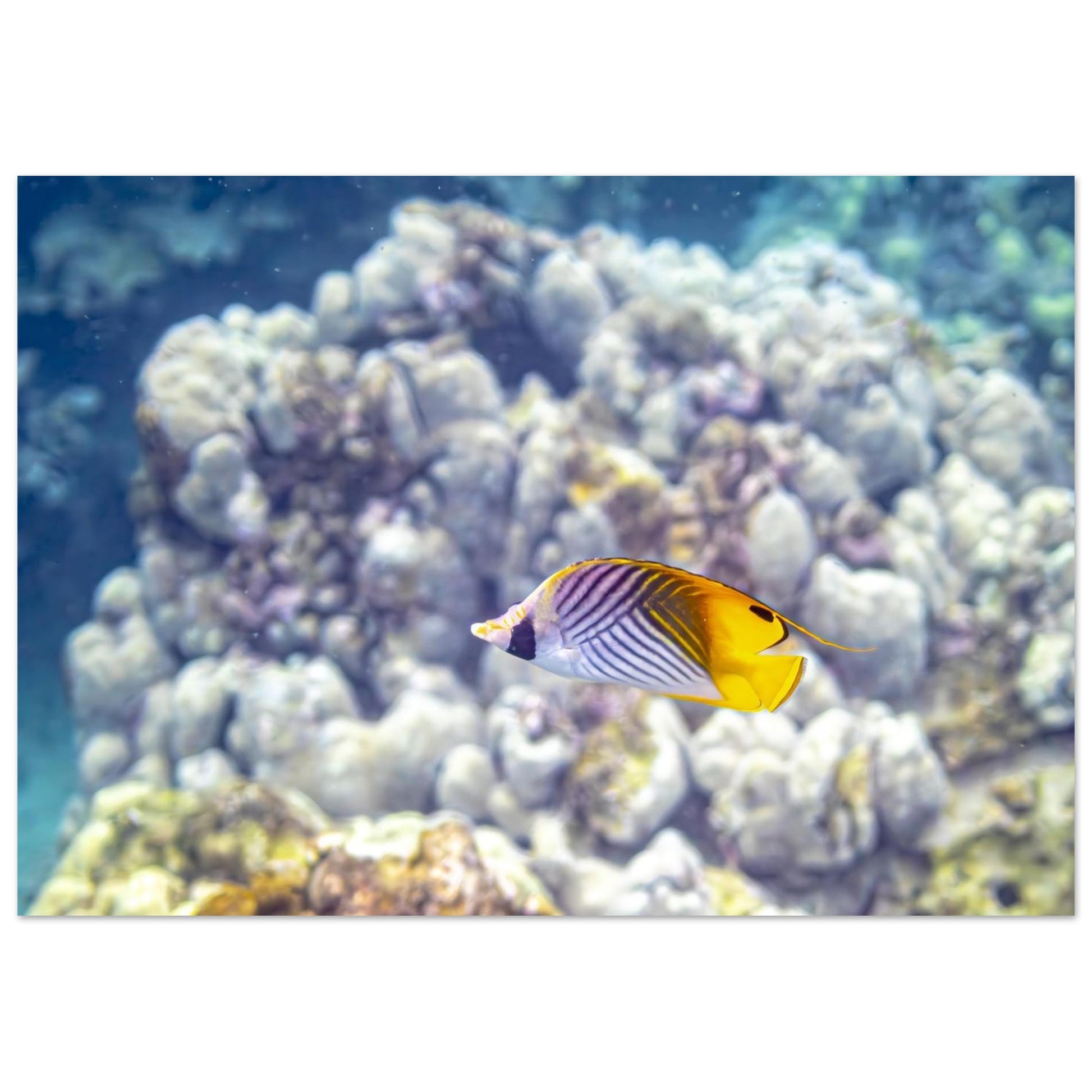 88e71b94-7018-4010-a587-9b9fe102de0d