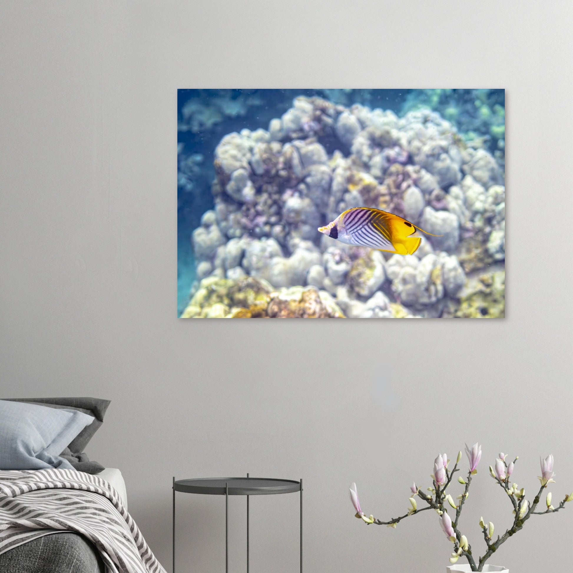 8a8eef5a-b29c-442c-9432-862c058c78f0