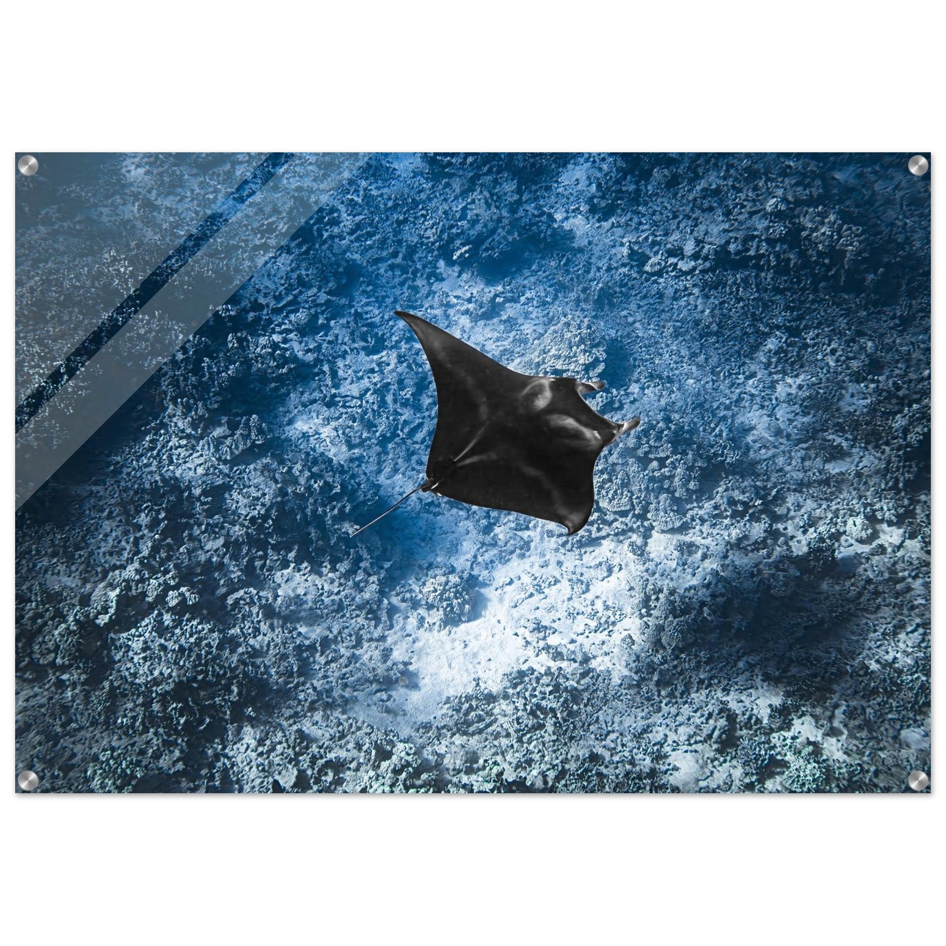 8c2b90f4-ee97-48d4-aa7d-73ca717b572a