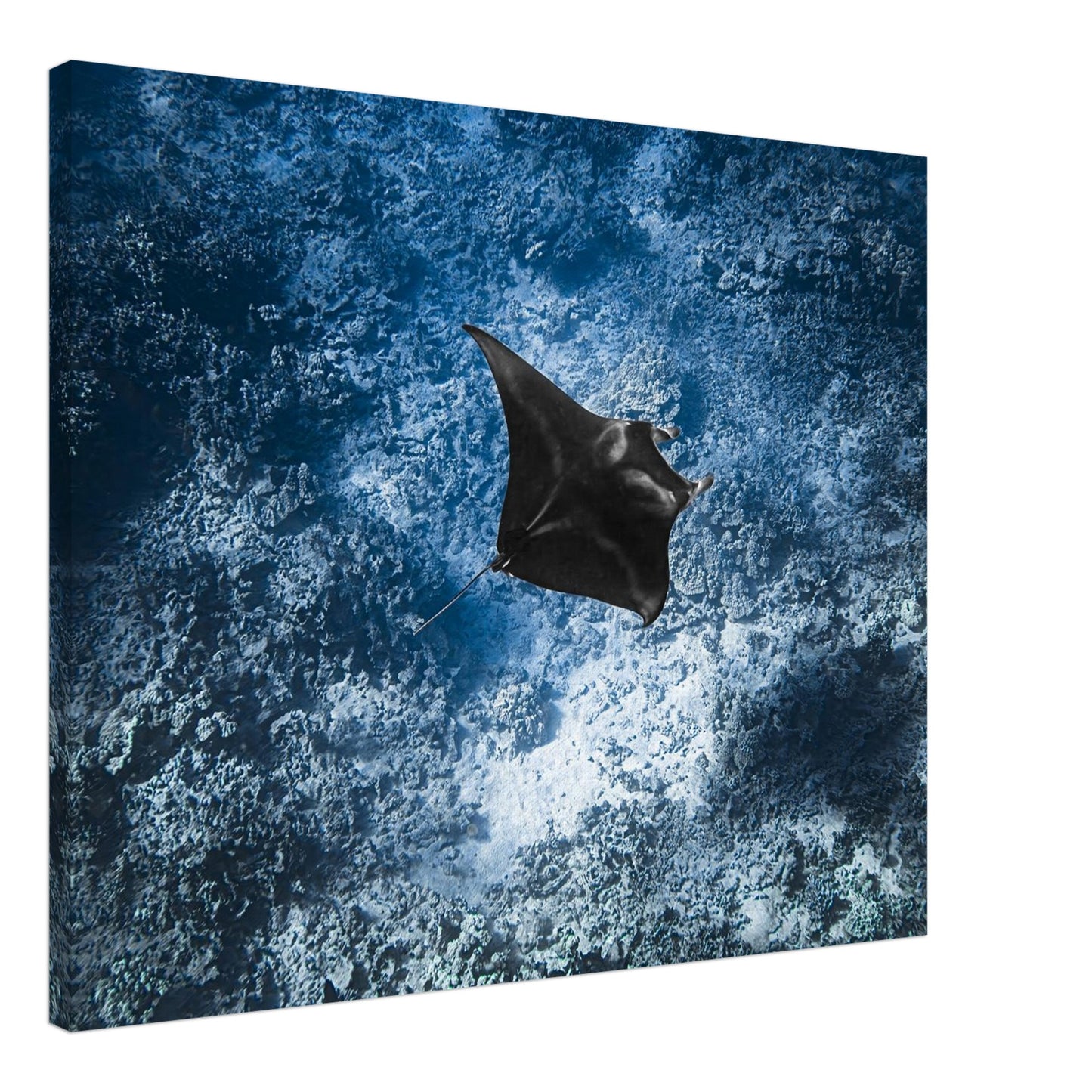 8eaf71e1-e92f-4fe7-9d21-f2f84244e908