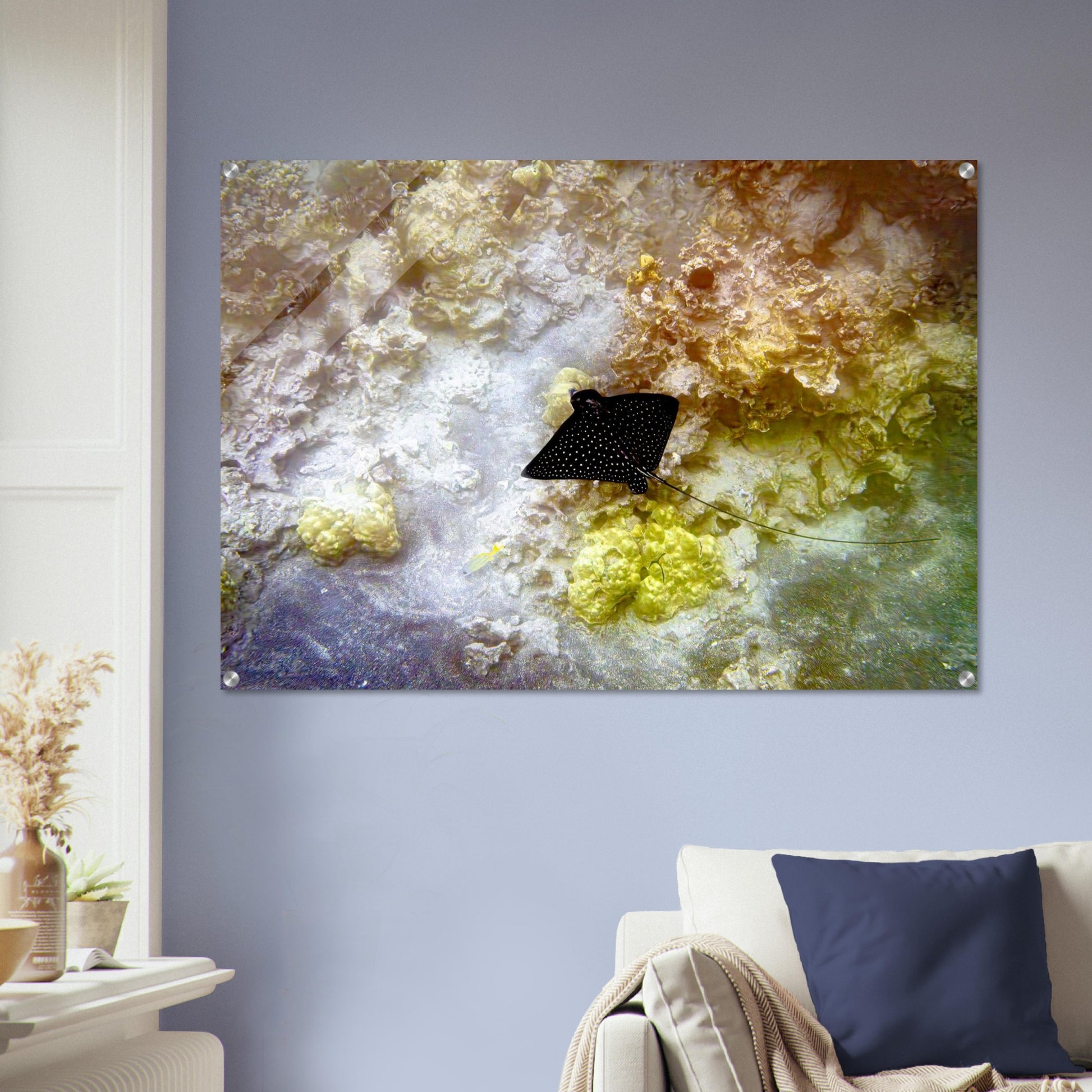 914306e6-d983-4f2e-be03-1d70db9a7beb