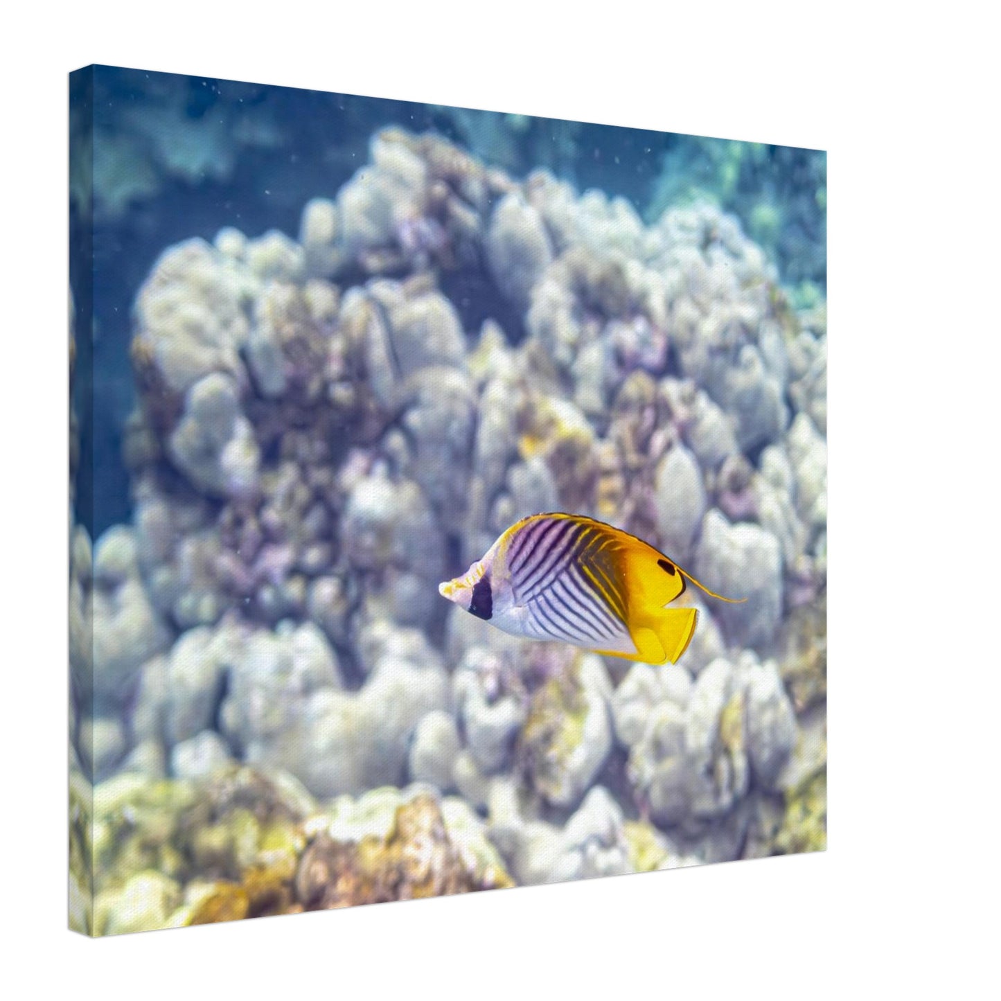 91a506ed-a744-4dca-97be-e68b6684f3f1