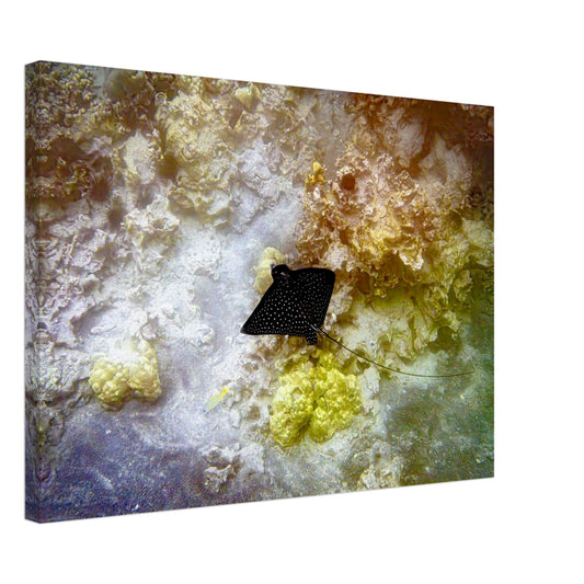 932ffd3e-6319-43f4-8c40-0c08ab921588