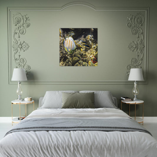 93747bf2-176f-45fc-858e-b96fbeec23cc